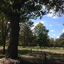 Headwaters Camping & Cabins