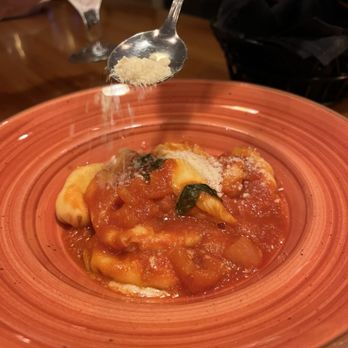 Sardinia - Fresh pasta, ravioli w/cheese, the sauce was dusted with orange zest - an amazing flavor accompaniment - it was Excellent! - Wine Bars Near Me - Sarasota, Florida