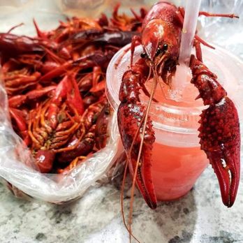 Cajun Cuzzins Crawfish - a crawfish with a straw in a plastic cup - Seafood Near Me - Red Oak, Texas Cajun Cuzzins Crawfish - a crawfish with a straw in a plastic cup - Seafood Near Me - Red Oak, Texas