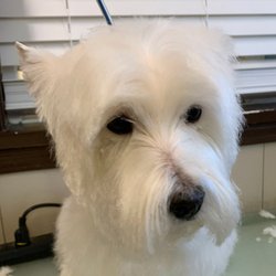 Beth’s Boarding & Grooming