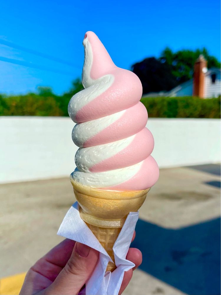 DAIRY DAN Updated September 2024 26 Photos & 54 Reviews 6950 N Wayne Rd, Westland