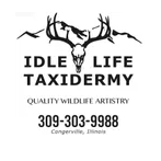 Idle Life Taxidermy - taxidermy in Congerville, IL