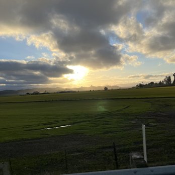Ernie's Tin Bar - Great views and brew - Bars Near Me - Petaluma, California Ernie's Tin Bar - Great views and brew - Bars Near Me - Petaluma, California