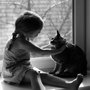Photo of Clinique Veterinaire