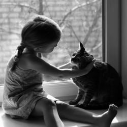 Clinique Veterinaire - Unconditional love