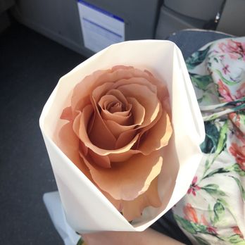 Harrods - This rose is absolutely perfect! - Department Stores Near Me - London, XGL