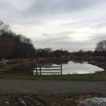 Laurel Acres Park - Big pond with paved walkway all around - Parks Near Me - Mt Laurel Township, New Jersey