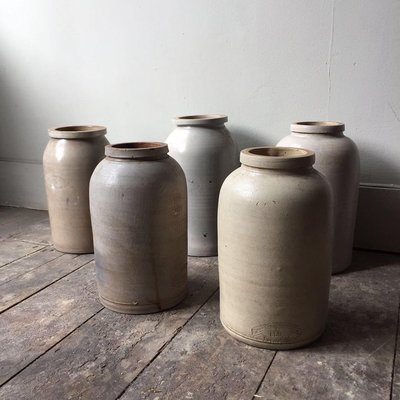 Committee of Taste by null