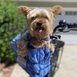 Kobe loved bike rides!
