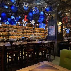Rocco's Tacos & Tequila Bar - We are back