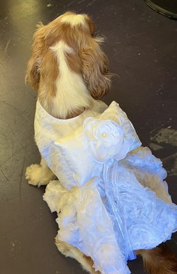 Fur-Kids Boutique by null