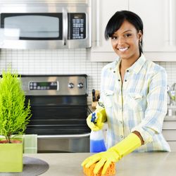 Sparkle The Cleaning Service - Sparkle The Cleaning Service cleans kitchens