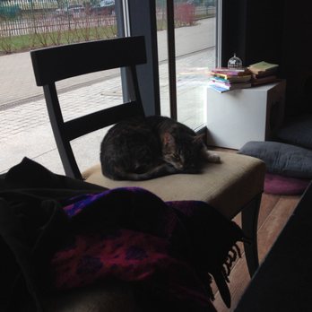 Miau Cafe - Try To Sleep :-) - Themed Cafes Near Me - Warsaw, MZ Miau Cafe - Try To Sleep :-) - Themed Cafes Near Me - Warsaw, MZ