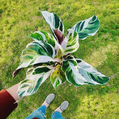 Seed Cafe and Espresso Bar by null