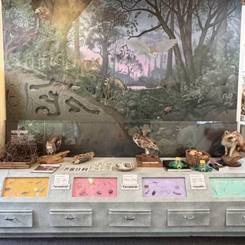 Placer Nature Center - Educational Services Near Me - Auburn, California