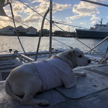 Oahu Catamarans - Boat Charters Near Me - Honolulu, Hawaii
