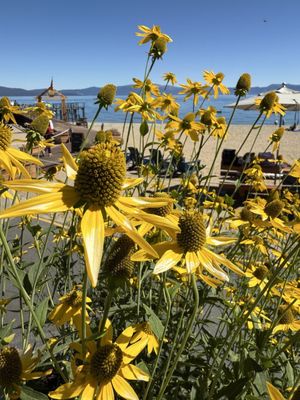 Chambers Landing Bar & Grill by null