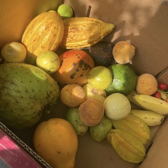 Ono Organic Farms - Box of fruit they send home - Fruits & Veggies Near Me - Hana, Hawaii