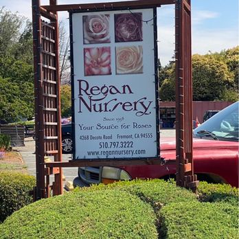 Regan Nursery - Nurseries & Gardening Near Me - Fremont, California Regan Nursery - Nurseries & Gardening Near Me - Fremont, California