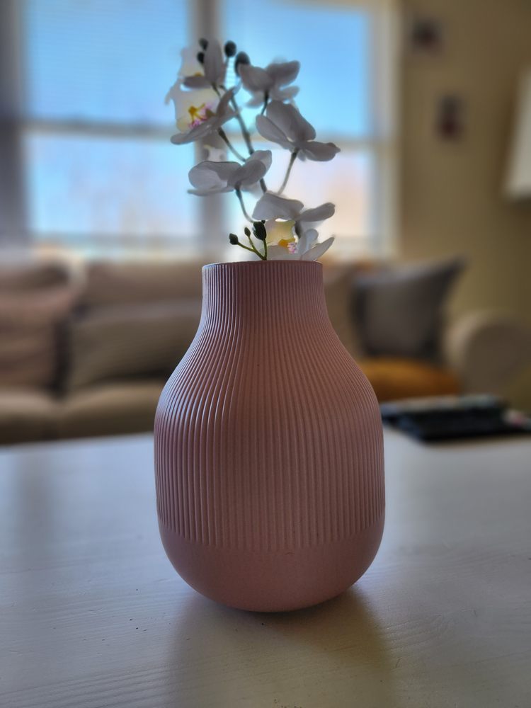 NITTY CLEANING SERVICES Ewing Township, New Jersey Home Cleaning