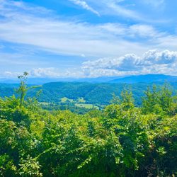 Foothills Parkway