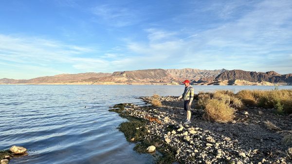 Lake Mead National Recreation Area by null