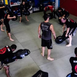 The Jungle MMA and Fitness