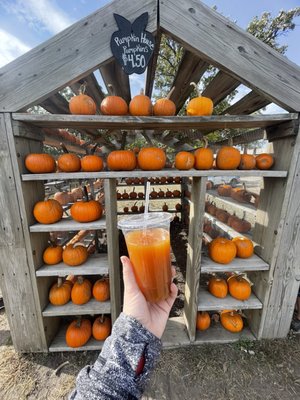 Apple Jack Orchards by null