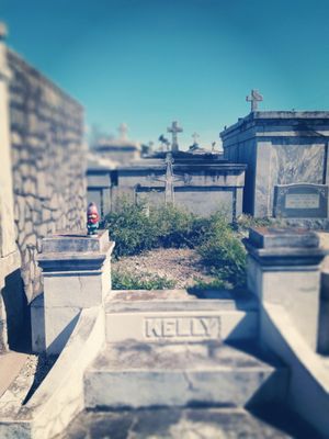 St Vincent De Paul Cemetery by null