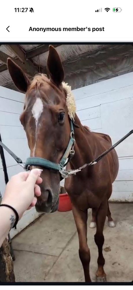 Glen Grove Equestrian Center - equestrian in Lake Forest, IL