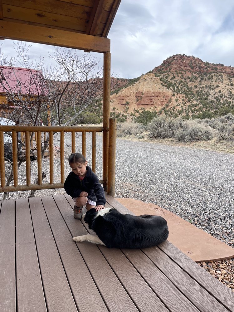 COWBOY HOMESTEAD CABINS Updated August 2024 15 Photos & 10 Reviews