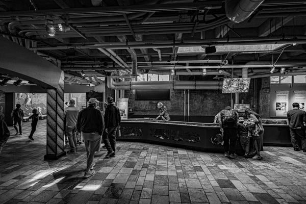Monterey Bay Aquarium by null