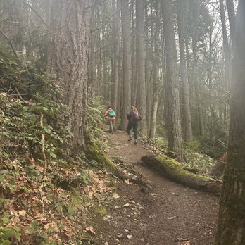 Margaret's Way - Up we go! - Hiking Near Me - Issaquah, Washington Margaret's Way - Up we go! - Hiking Near Me - Issaquah, Washington