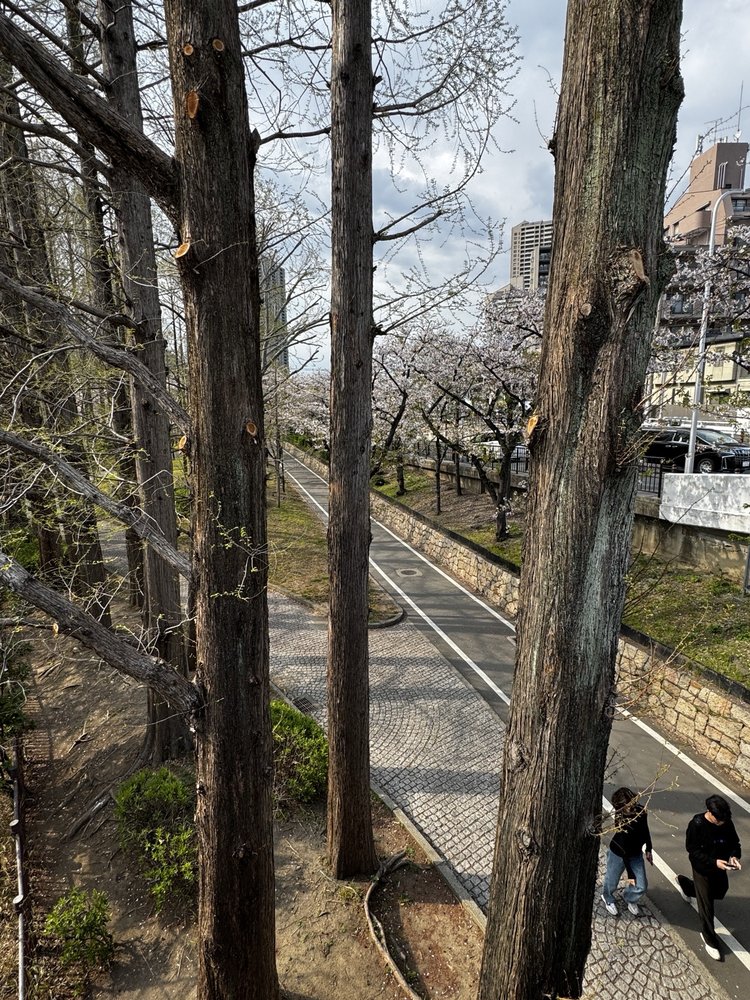 Kemasakuranomiya Park