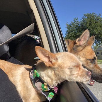 K9 Karousel - Pet Groomers Near Me - Anaheim, California