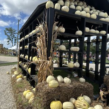 The Berry Farms - Farms Near Me - Miami, Florida The Berry Farms - Farms Near Me - Miami, Florida