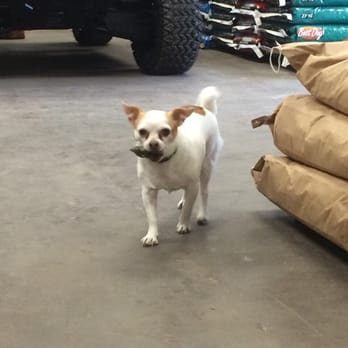 Green's Outdoor& More - Forest loves his Gator Dog Treats from Greens - Outdoor Gear Near Me - Trenton, Florida Green's Outdoor& More - Forest loves his Gator Dog Treats from Greens - Outdoor Gear Near Me - Trenton, Florida
