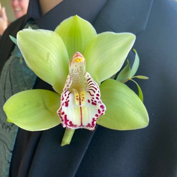 Casa De Flores - Green orchid boutonniere - Florists Near Me - Encino, California