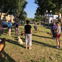 Off Leash Dog Training - Big dogs, little dogs... happy owners and happy dogs!  Having fun at group!