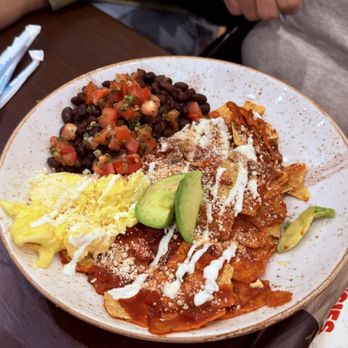 First Watch - Barbacoa Chilaquiles Breakfast Bowl - Breakfast & Brunch Near Me - Creve Coeur, Missouri