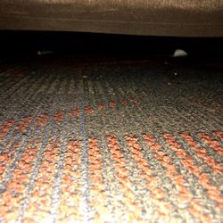 Quality Inn & Conference Center - Underneath the bed... Seems to not have been cleaned.