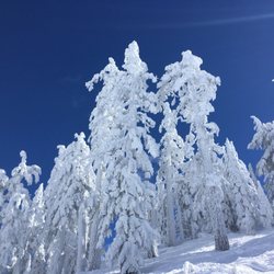 Mt Bachelor Sports Education Foundation