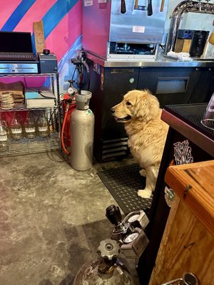 Parish Brewing Co. by null