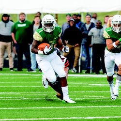 Tiffin University - Tiffin University football program