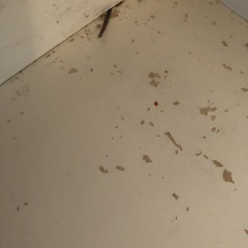 Enviropure Home Services - Cupboards not wiped out - Home Cleaning Near Me - Ottawa, Ontario