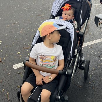 Paradise Baby - Mockingbird double stroller - Baby Gear & Furniture Near Me - Waialua, Hawaii Paradise Baby - Mockingbird double stroller - Baby Gear & Furniture Near Me - Waialua, Hawaii