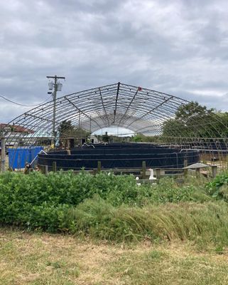 Multi Aquaculture Systems by null