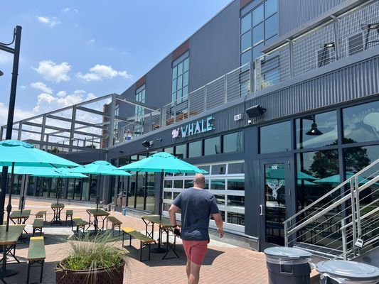 The Whale A Craft Beer Collective by null