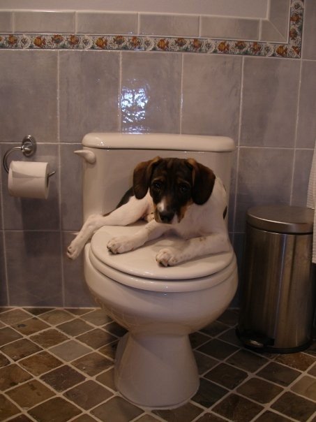 Slide of Grimmett Contracting