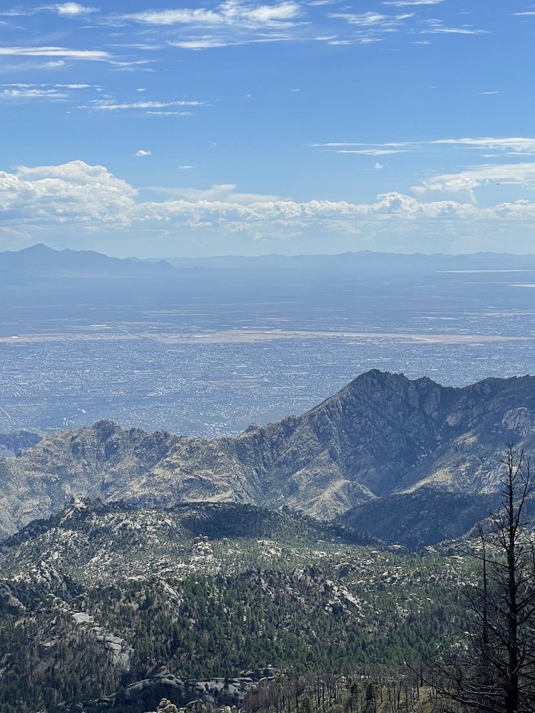 MT LEMMON OKTOBERFEST 10 Reviews Summerhaven, Arizona Local